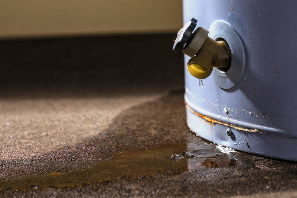 Best Water damage cleanup near me  in Roseburg Nth, OR