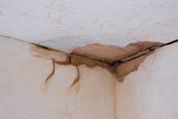 Best Water damage restoration near me  in Roseburg Nth, OR