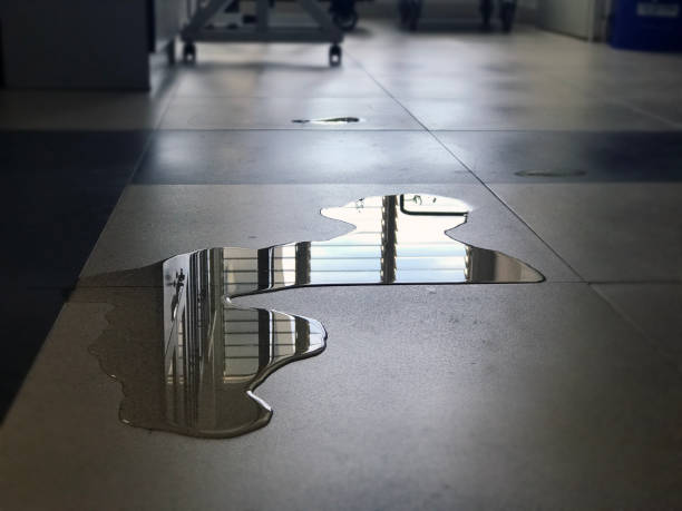 Best Water damage mitigation services  in Roseburg Nth, OR