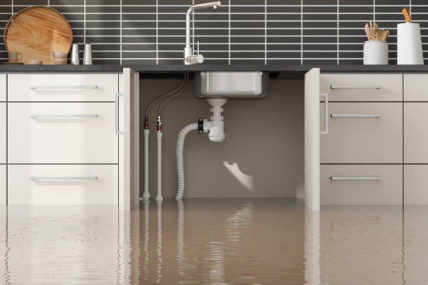 Best Water damage restoration near me  in Roseburg Nth, OR