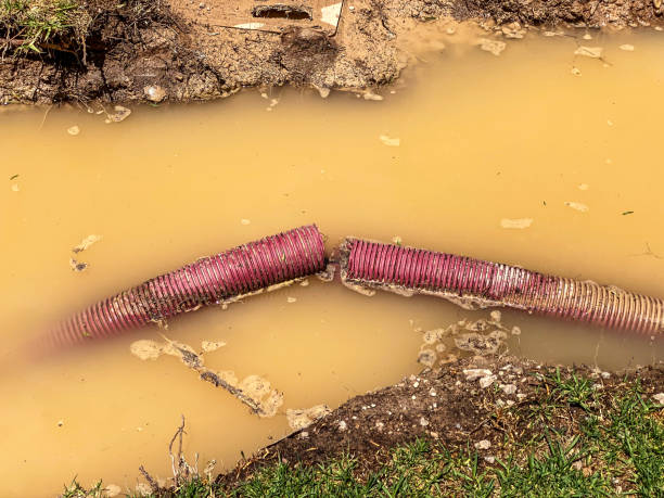 Best Mold removal after water damage  in Roseburg Nth, OR
