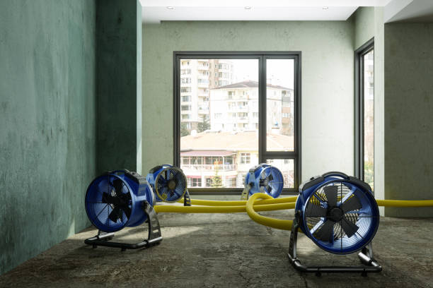 Reliable Roseburg North, OR Water damage restoration Solutions