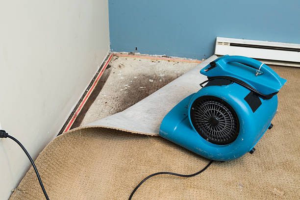 Water damage restoration process in Roseburg North, OR
